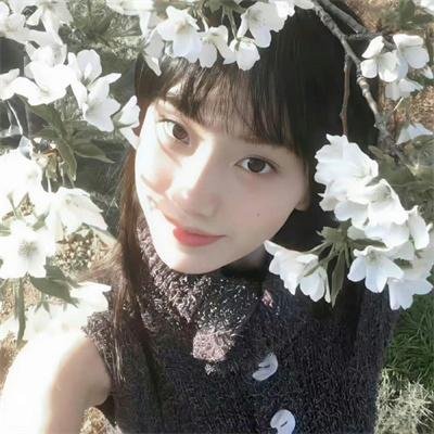 狗仔队